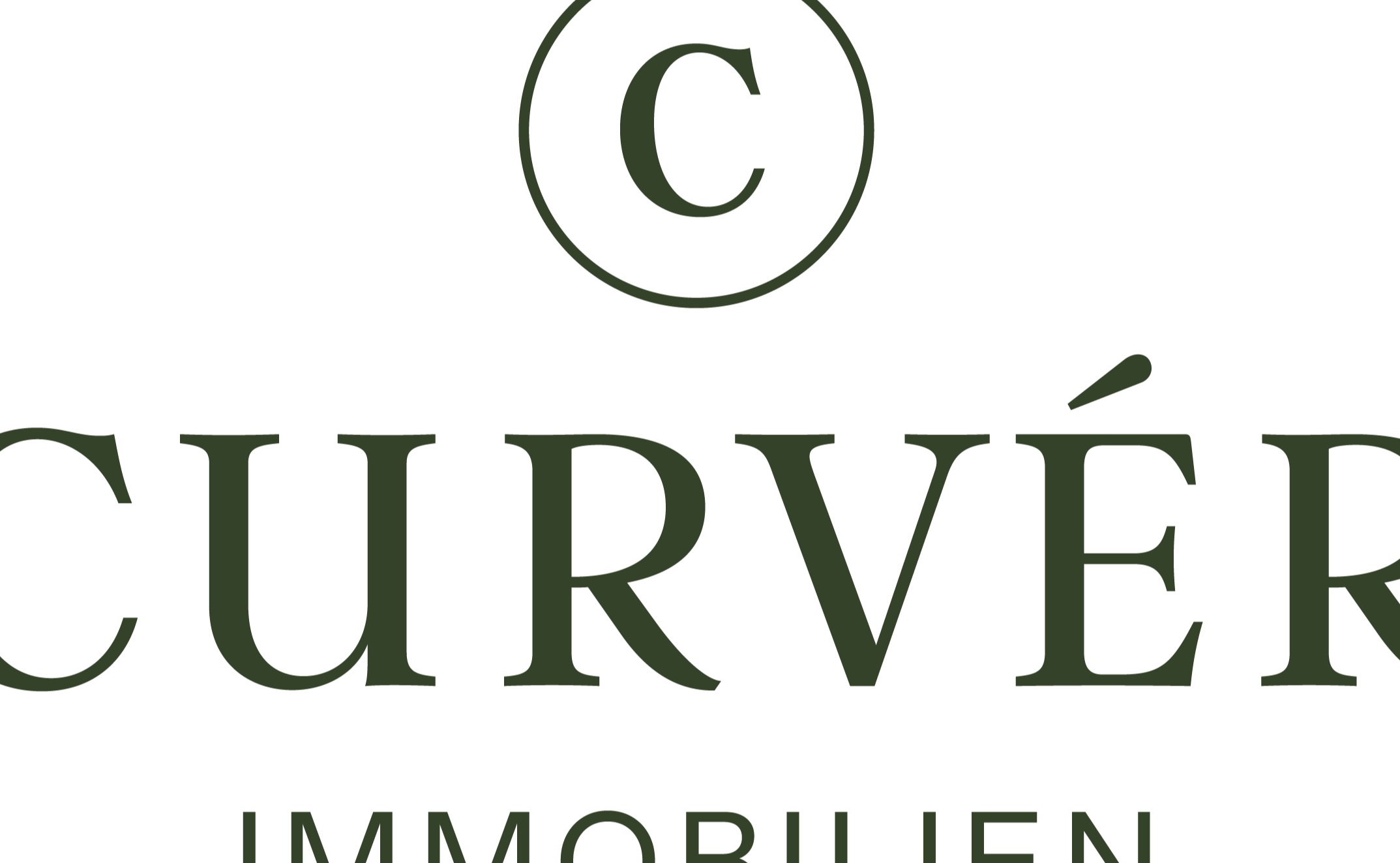 Firmenlogo