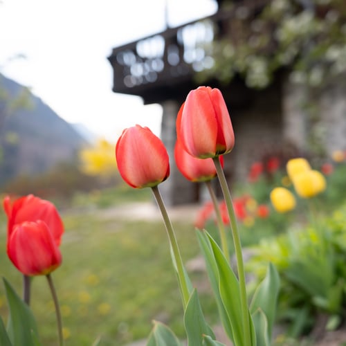 Profilfoto Nadine Blatter & Riccardo Bieler