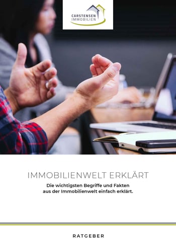 Cover für Die Immobilienwelt erklärt