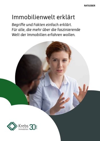 Cover für Die Immobilienwelt erklärt