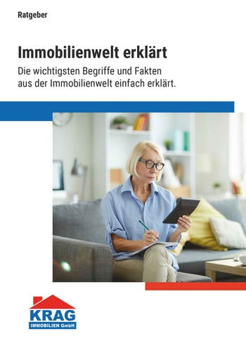 Cover für Die Immobilienwelt erklärt