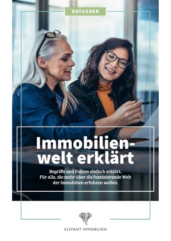 Cover für Die Immobilienwelt erklärt