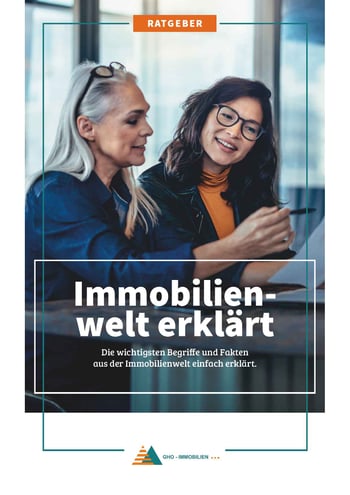 Cover für Die Immobilienwelt erklärt