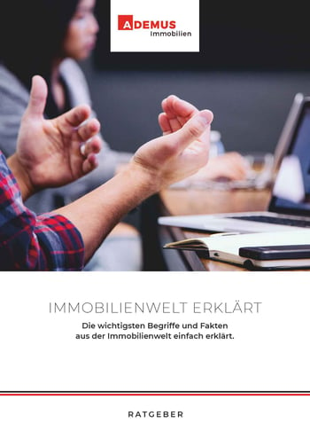 Cover für Die Immobilienwelt erklärt