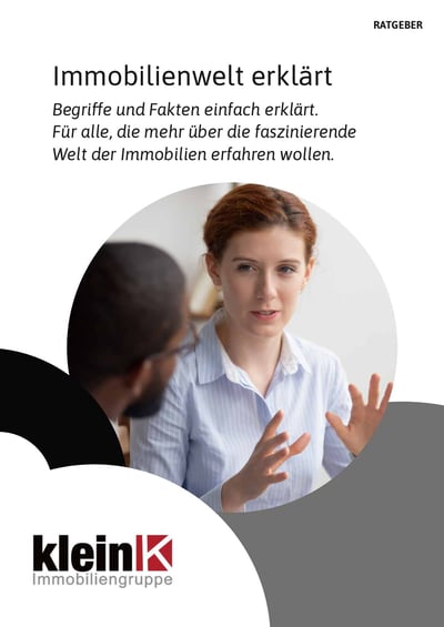 Cover für Die Immobilienwelt erklärt