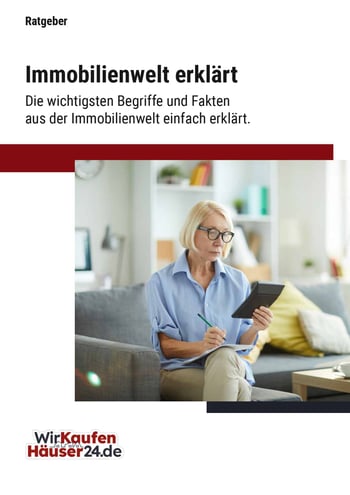 Cover für Die Immobilienwelt erklärt