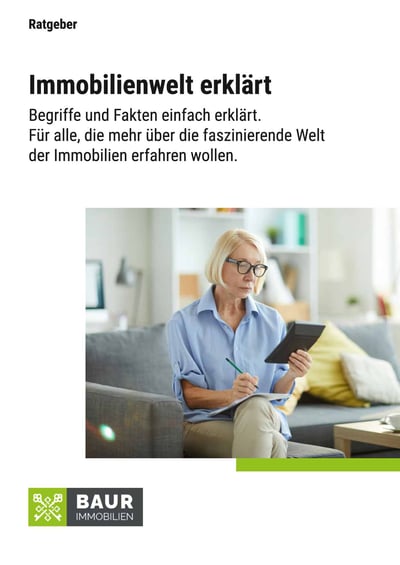 Cover für Die Immobilienwelt erklärt