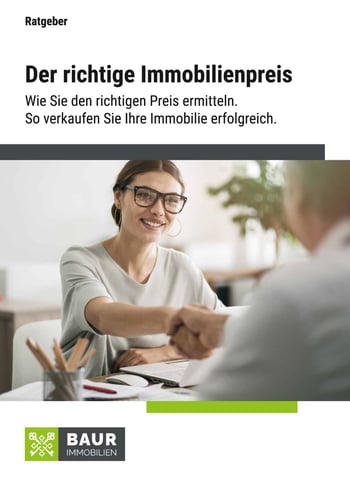 Cover für Den richtigen Immobilienpreis ermitteln