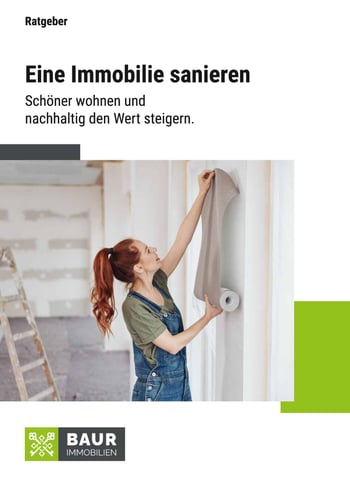 Cover für Sanierung einer Immobilie