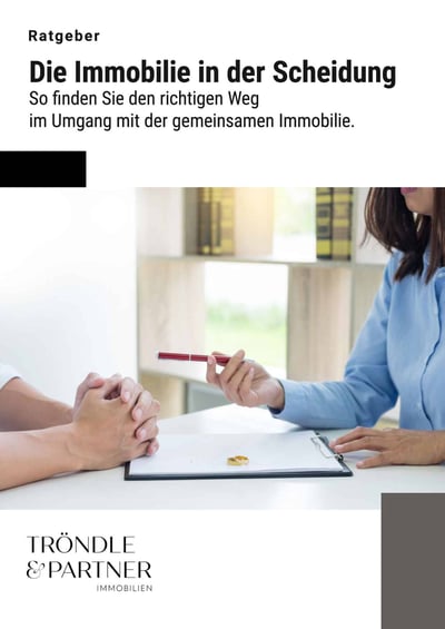 Cover für Immobilie in der Scheidung