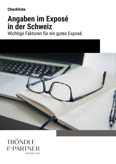 Cover für Was für ein gutes Exposé wichtig ist