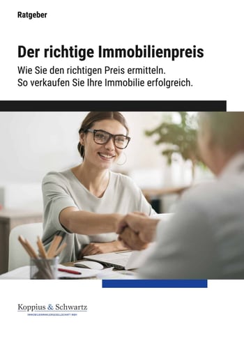 Cover für Den richtigen Immobilienpreis ermitteln